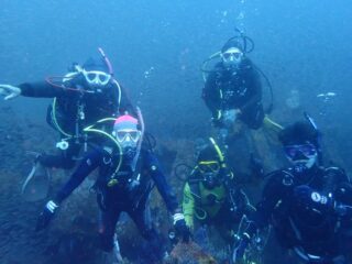 お店のご案内 | Colors Diving Proshop